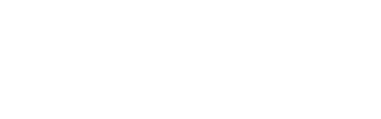 S1Quant